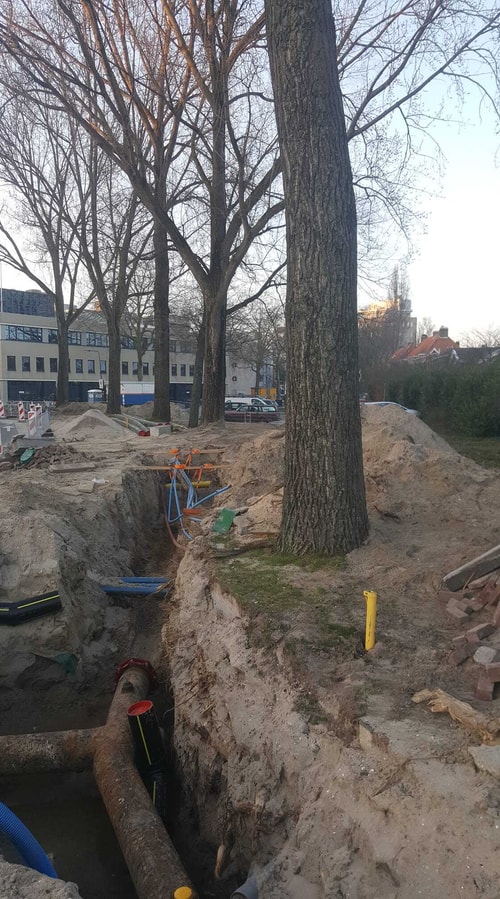 Boom schuttersveld