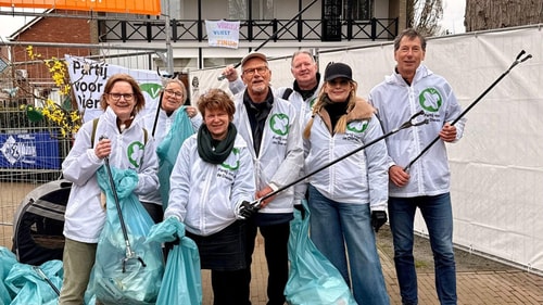 Cleanup 20vanalphen