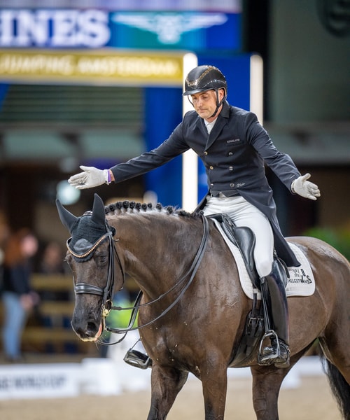 Paard met schuimbek