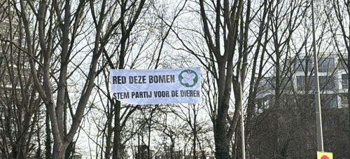Spandoek