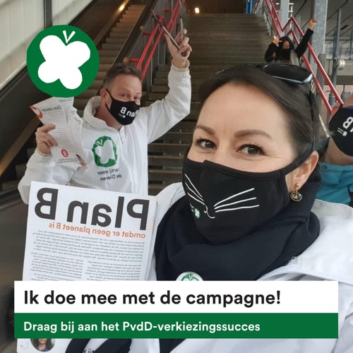 Verkiezingscampagne