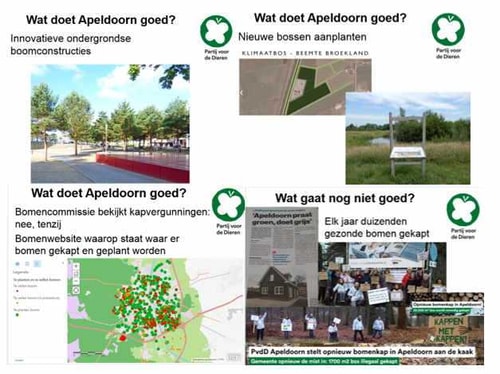 Presentatie Maaike slide 1