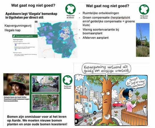Presentatie Maaike slide 2