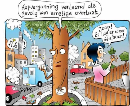 Bomenoverlast