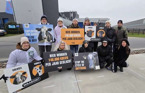 Cowsafe protest 2024 foto 2jpg