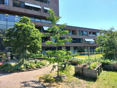 Graanhof