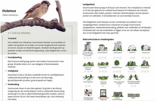 Natuurinclusief de huismus