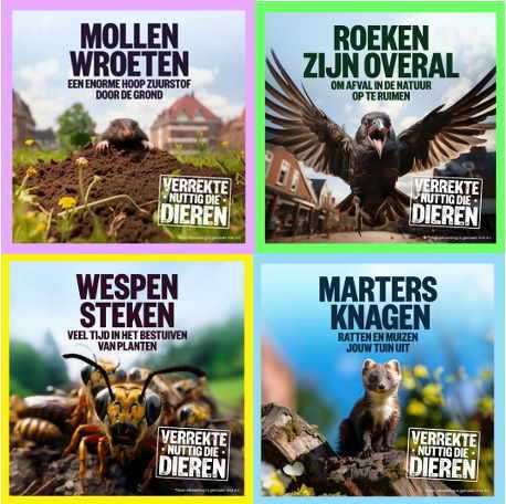 Nuttige plaagdieren