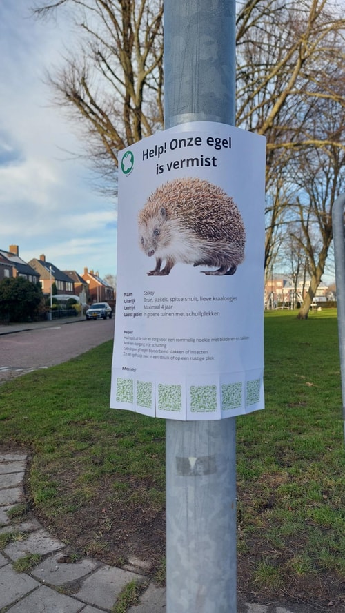 Egel castricum