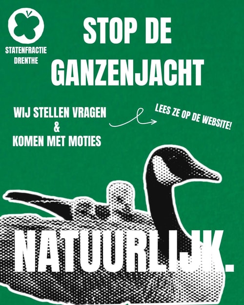 Ganzenmoord