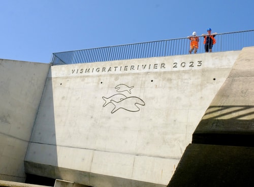 Vismigratie rivier
