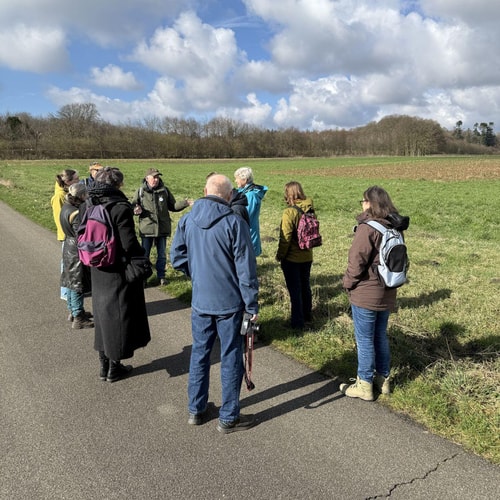 Natuurwandeling rheden