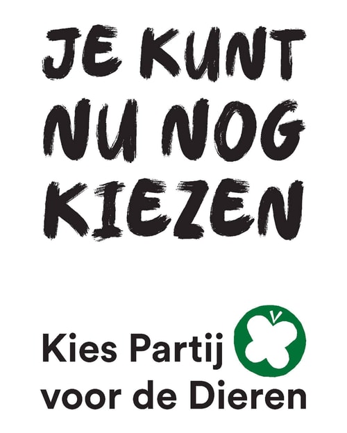 Poster Je kunt nu nog kiezen