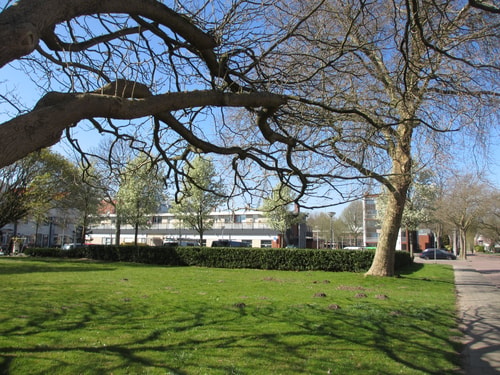 Buurten kogerveld 1