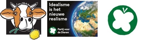 WEBSITEBIJEENKOMST1 KOEBOLVLINDER