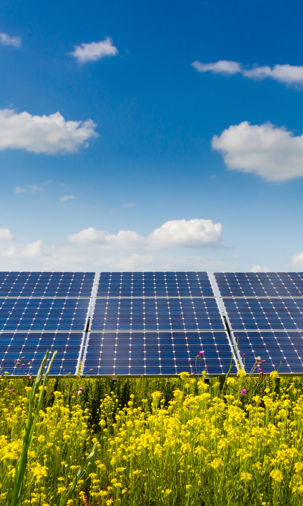 Stock Photo Photovoltaic Modules And Yellow Flowers 178694141