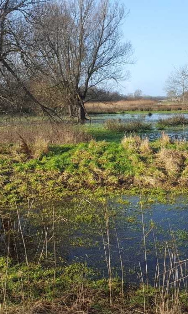 Natuur landschap