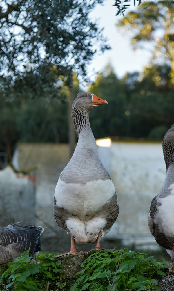 Samuel jeronimo Pptyyh Fjra4 unsplash