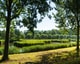 Shutterstock 1463608553 Groen Dordrecht Wilgen Riet Biesbosch