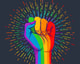 lgbt lhbt lhbti lgbtq lhbtqia blm black lives matter homo lesbi transgender racisme discriminatie gelijkheid partij voor de dieren pvdd aarde klimaat dierenpartij esther ouwehand plan b tweede kamer verkiezingen 2021