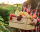 Adobe Stock 373094143 Harvest Agriculture Food Health Gezond Voedsel Biologisch web