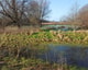 Natuur landschap