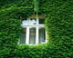 Wonen en bouwen