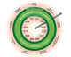 Donut economics model