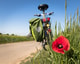 Fietspad klaproos