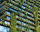 Groene flat