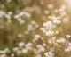 Micheile henderson w IHOF Lc Zl Hs unsplash