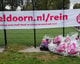Zwerfvuilactie Provinciale Wegen Foto 3