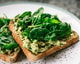 Carnivoor geef het door avocado spinanie brood