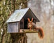 Lysa fotografka squirrel 7460711 1280