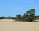 Natuur en biodiversiteit