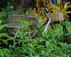 Fiets In Het Groen Pixabay Rechtenvrij