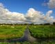 6 natuurlijkwaterpeil