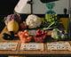 Sinitta leunen U Px9 Drk Py Sg unsplash