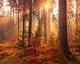 Meer Natuur 3