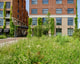 Wonen Rheden