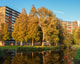 Haddeman Pixabay flat 16 9