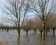 High water 2940596 1920