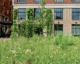 Wonen