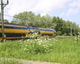 Trein i Stockphoto com Bies