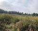Helbergen2