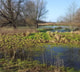 Natuur landschap